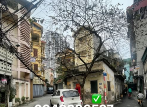 PHỐ NGUYỄN CHÍNH - Tiện ích đày đủ - Ngõ thông - Ô tô đỗ cửa - Gần trường, gần chợ Diện tích 50 m2 x 3 tầng x 4 ngủ. Sổ đỏ chính chủ cất két sẵn sàng giao dịch. Liên hệ SĐT 0833639835 để được tư vấn và xem nhà.